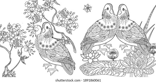 Art therapy coloring page. Birds hand drawn in vintage style with flowers. Asian duck and blossom branches. Linear engraved art. Bird concept. Romantic concept. 