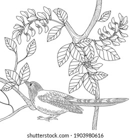 Download Bird Coloring Book High Res Stock Images Shutterstock