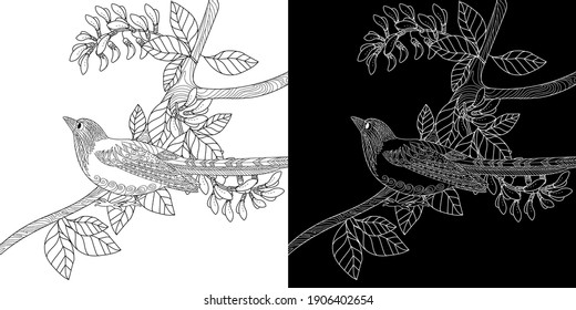 Art therapy coloring page. Birds hand drawn in vintage style with flowers. Magpie and flowers. The art of linear engraving. Bird concept. Romantic concept.