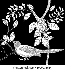 Art therapy coloring page. Birds hand drawn in vintage style with flowers. Magpie and flowers. The art of linear engraving. Bird concept. Romantic concept. 