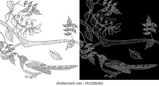 Art therapy coloring page. Birds hand drawn in vintage style with flowers. Magpie and flowers. The art of linear engraving. Bird concept. Romantic concept. 