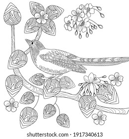 Art therapy coloring page. Birds hand drawn in vintage style with flowers. Magpie and flowers. The art of linear engraving. Bird concept. Romantic concept.