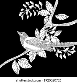Art therapy coloring page. Birds hand drawn in vintage style with flowers. Magpie and flowers. The art of linear engraving. Bird concept. Romantic concept. 
