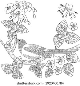 Adult Coloring Birds Flowers Images Stock Photos Vectors Shutterstock