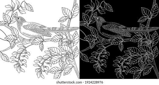 Art therapy coloring page. Birds hand drawn in vintage style with flowers. Magpie and flowers. The art of linear engraving. Bird concept. Romantic concept. 