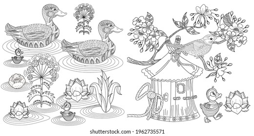 Art therapy coloring page. Birds hand drawn in vintage style with flowers. Duck and blossom branches of cherry. Linear engraved art. Bird concept. Romantic concept.