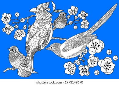 Art therapy coloring page. Birds hand drawn in vintage style with flowers. Waxwing and flowers. The art of linear engraving. Bird concept. Romantic concept. 