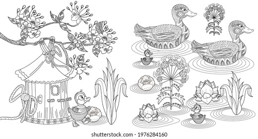 Art therapy coloring page. Birds hand drawn in vintage style with flowers. Duck and blossom branches of cherry. Linear engraved art. Bird concept. Romantic concept.