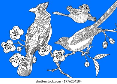 Art therapy coloring page. Birds hand drawn in vintage style with flowers. Waxwing and flowers. The art of linear engraving. Bird concept. Romantic concept. 