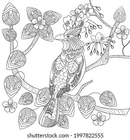 Art therapy coloring page. Birds hand drawn in vintage style with flowers. Waxwing and flowers. The art of linear engraving. Bird concept. Romantic concept. 