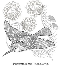 Art therapy coloring page. Birds hand drawn in vintage style with flowers. Hoopoe and flowers. The art of linear engraving. Bird concept. Romantic concept.