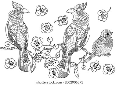 Art therapy coloring page. Birds hand drawn in vintage style with flowers. Waxwing and flowers. The art of linear engraving. Bird concept. Romantic concept. 