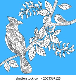 Art therapy coloring page. Birds hand drawn in vintage style with flowers. Waxwing and flowers. The art of linear engraving. Bird concept. Romantic concept. 
