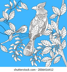 Art therapy coloring page. Birds hand drawn in vintage style with flowers. Waxwing and flowers. The art of linear engraving. Bird concept. Romantic concept. 