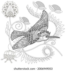Art therapy coloring page. Birds hand drawn in vintage style with flowers. Hoopoe and flowers. The art of linear engraving. Bird concept. Antistress freehand sketch drawing