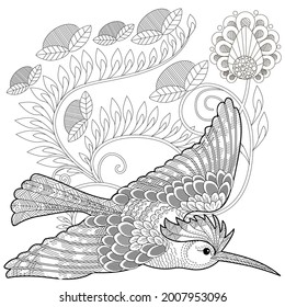Art therapy coloring page. Birds hand drawn in vintage style with flowers. Hoopoe and flowers. The art of linear engraving. Bird concept. Antistress freehand sketch drawing