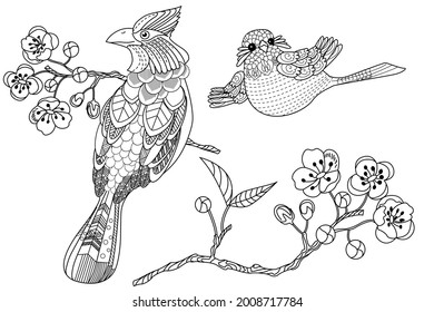 Art therapy coloring page. Birds hand drawn in vintage style with flowers. Waxwing and flowers. The art of linear engraving. Bird concept. Romantic concept. 