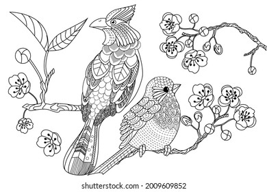 Art therapy coloring page. Birds hand drawn in vintage style with flowers. Waxwing and flowers. The art of linear engraving. Bird concept. Romantic concept. 