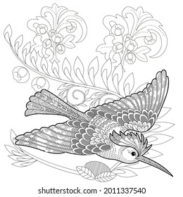 Art therapy coloring page. Birds hand drawn in vintage style with flowers. Hoopoe and flowers. The art of linear engraving. Bird concept. Antistress freehand sketch drawing with doodle