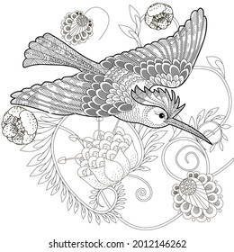 Art therapy coloring page. Birds hand drawn in vintage style with flowers. Hoopoe and flowers. The art of linear engraving. Bird concept. Antistress freehand sketch drawing with doodle