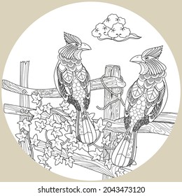 Art therapy coloring page. Birds hand drawn in vintage style with flowers. Waxwing and flowers. The art of linear engraving. Bird concept. Romantic concept. 