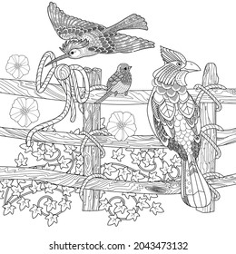 Art therapy coloring page. Birds hand drawn in vintage style with flowers. Waxwing and flowers. The art of linear engraving. Bird concept. Romantic concept. 