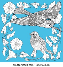 Art therapy coloring page. Birds hand drawn in vintage style with flowers. Hoopoe and flowers. The art of linear engraving. Antistress freehand sketch drawing with doodle and zentangle elements.
