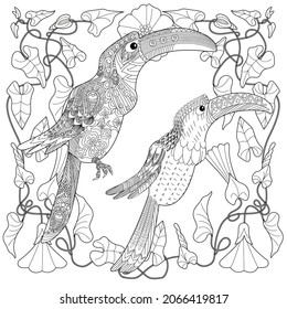 Art therapy coloring page. Birds hand drawn in vintage style with flowers. Toucan and flowers. The art of linear engraving. Romantic concept. 