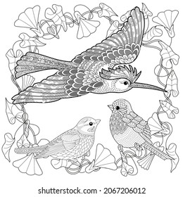 Art therapy coloring page. Birds hand drawn in vintage style with flowers. Hoopoe and flowers. The art of linear engraving. Antistress freehand sketch drawing with doodle and zentangle elements.
