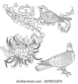 Art therapy coloring page. Birds hand drawn in vintage style with flowers. Antistress freehand sketch drawing with doodle and zentangle elements.