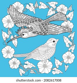 Art therapy coloring page. Birds hand drawn in vintage style with flowers. Antistress freehand sketch drawing with doodle and zentangle elements.