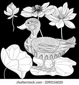 Art therapy coloring page. Birds and flowers hand drawn in vintage style . The art of linear engraving. Bird concept. Romantic concept.