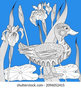Art therapy coloring page. Birds and flowers hand drawn in vintage style . The art of linear engraving. Bird concept. Romantic concept.