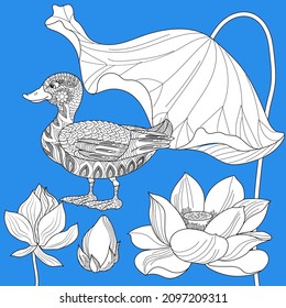 Art therapy coloring page. Birds and flowers hand drawn in vintage style . The art of linear engraving. Bird concept. Romantic concept.