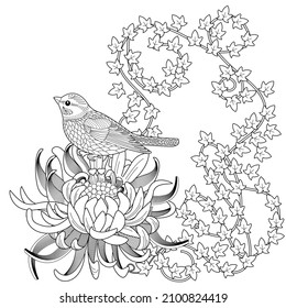 Art therapy coloring page. Birds and flowers hand drawn in vintage style . The art of linear engraving. Bird concept. Romantic concept.