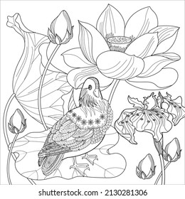 Art therapy coloring page. Birds hand drawn in vintage style with flowers. Asian duck and lilies. The art of linear engraving. Bird concept. Romantic concept.
swan