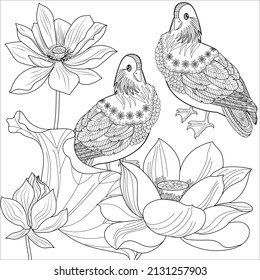 Art therapy coloring page. Birds hand drawn in vintage style with flowers. Asian duck and lilies. The art of linear engraving. Bird concept. Romantic concept.
swan