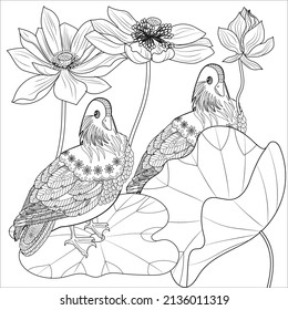 Art therapy coloring page. Birds hand drawn in vintage style with flowers. Asian duck and lilies. The art of linear engraving. Bird concept. Romantic concept.
