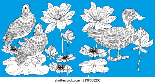Art therapy coloring page. Birds hand drawn in vintage style with flowers. Asian duck and lilies. The art of linear engraving. Bird concept. Romantic concept.
