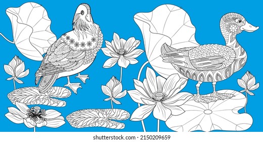 Art therapy coloring page. Birds hand drawn in vintage style with flowers. Ducks and lilies. The art of linear engraving. Bird concept. Romantic concept.