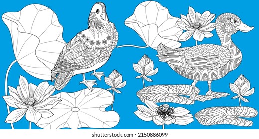 Art therapy coloring page. Birds hand drawn in vintage style with flowers. Ducks and lilies. The art of linear engraving. Bird concept. Romantic concept.