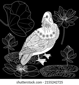 Art therapy coloring page. Birds hand drawn in vintage style with flowers. Asian duck and lilies. The art of linear engraving. Bird concept. Romantic concept.