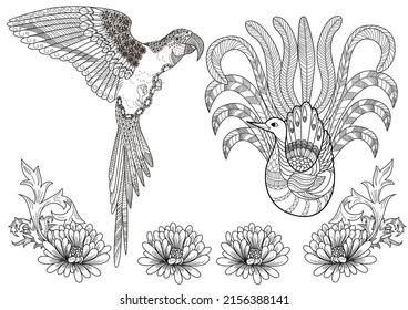 Art therapy coloring page. Birds and flowers hand drawn in vintage style . The art of linear engraving. Bird concept. Romantic concept.
