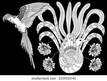 Art therapy coloring page. Birds and flowers hand drawn in vintage style . The art of linear engraving. Bird concept. Romantic concept.

