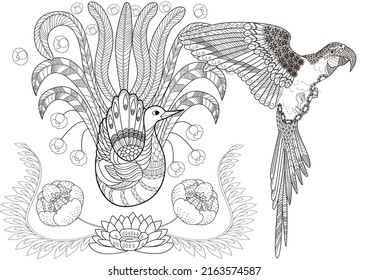 Art therapy coloring page. Birds and flowers hand drawn in vintage style . The art of linear engraving. Romantic concept.
