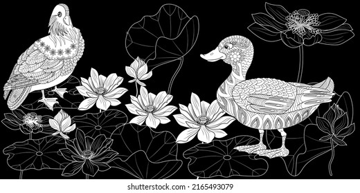 Art therapy coloring page. Birds hand drawn in vintage style with flowers. Ducks and blossom branches of cherry. Linear engraved art. Bird concept. Romantic concept.
