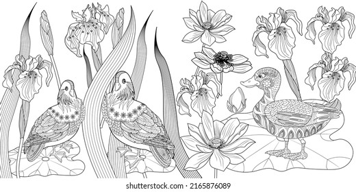 Art therapy coloring page. Birds hand drawn in vintage style with flowers. Ducsk and lilies. The art of linear engraving. Bird concept. Romantic concept.
