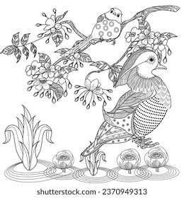 Art therapy coloring page. Birds hand drawn in vintage style with flowers. Asian duck and blossom branches of cherry. Linear engraved art. Bird concept. Romantic concept. 
