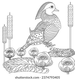 Art therapy coloring page. Birds hand drawn in vintage style with flowers. Asian duck. Linear engraved art. Bird concept. Romantic concept. 
