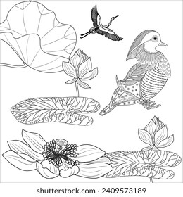 Art therapy coloring page. Birds hand drawn in vintage style with flowers. Asian duck and lilies. The art of linear engraving. Bird concept. Romantic concept.
